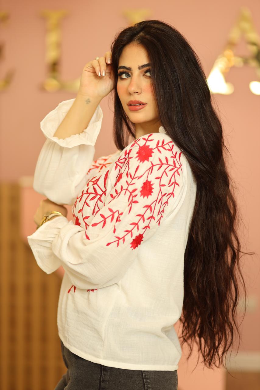 All embroidery linen blouse